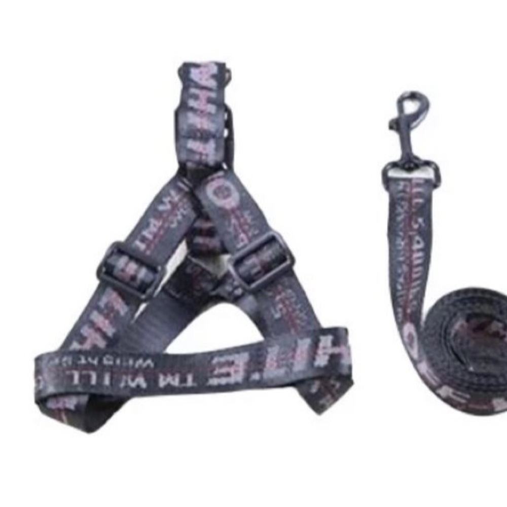 Black Off-White Harness & Leash